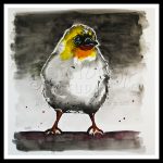 YELLOW CRESTED BIRD