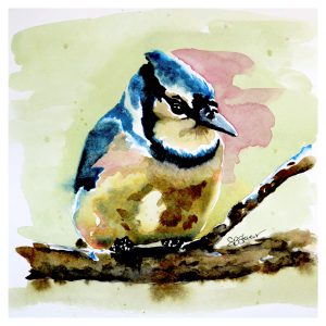 BLUEBIRD