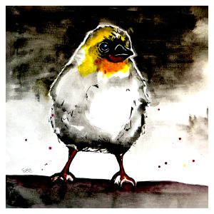 YELLOW CRESTED BIRD