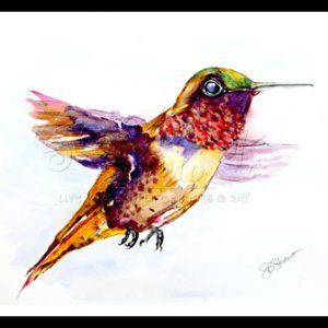 Hummingbird