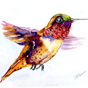 Hummingbird