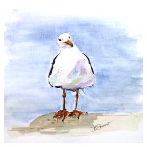Seagull