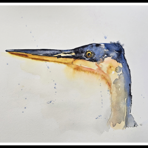 Shore Bird