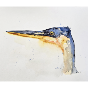 Shore Bird