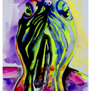 Turtle
