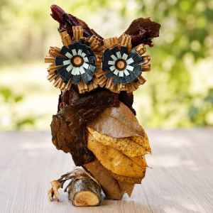 NATURE OWL
